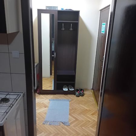 Apartment Viktor 2 Stan Na Dan Šabac 外观 照片