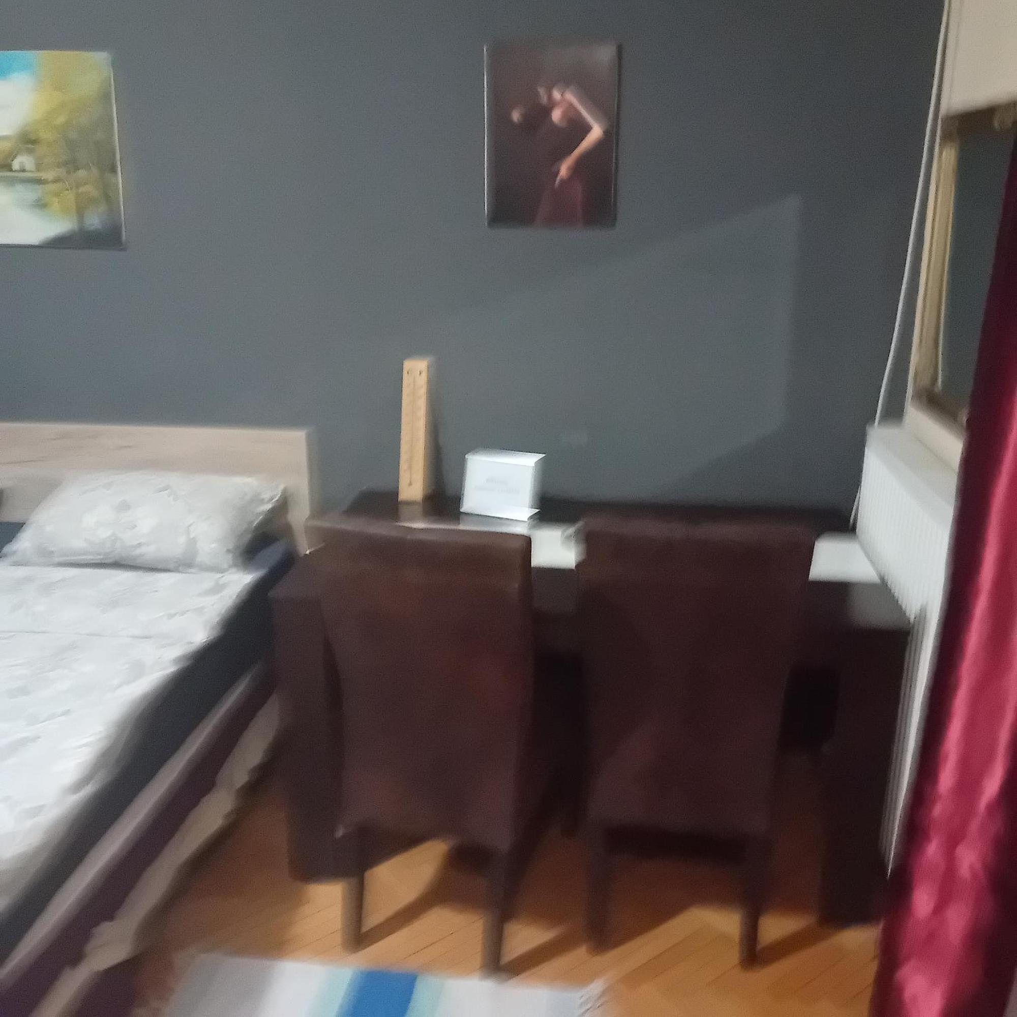 Apartment Viktor 2 Stan Na Dan Šabac 外观 照片