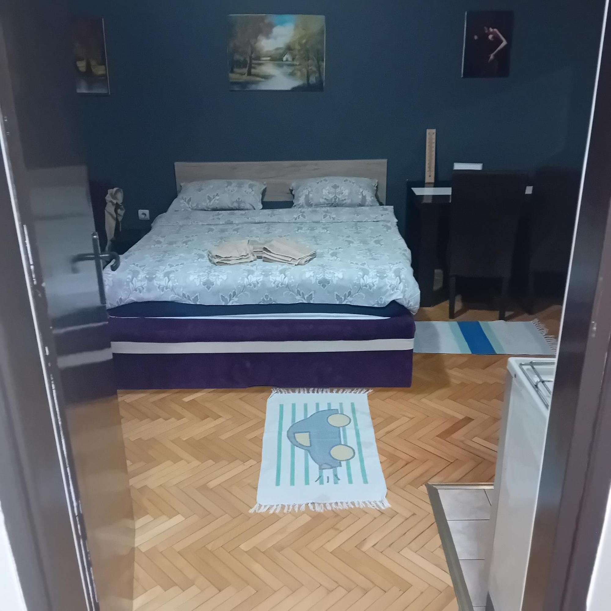 Apartment Viktor 2 Stan Na Dan Šabac 外观 照片