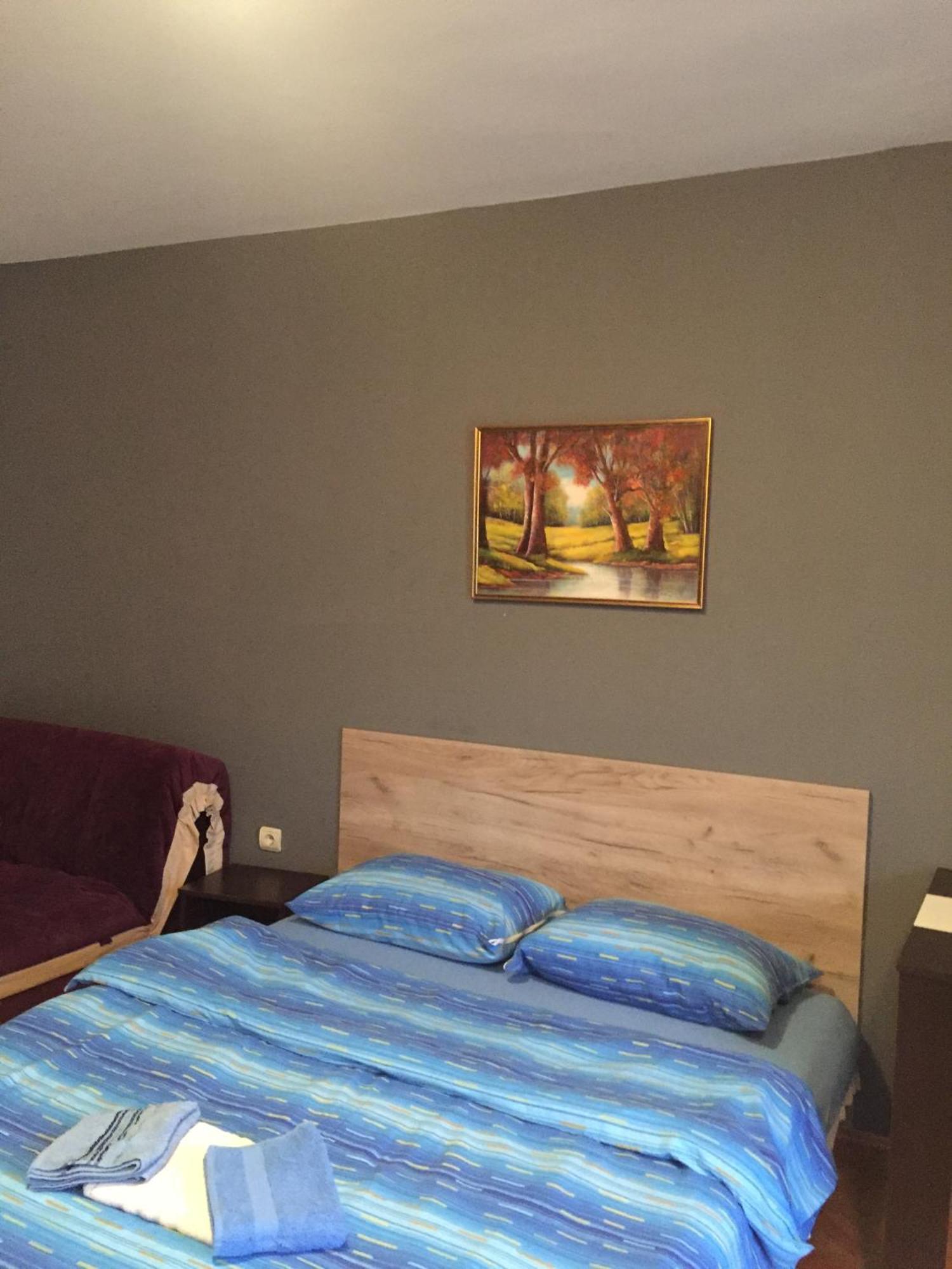Apartment Viktor 2 Stan Na Dan Šabac 外观 照片